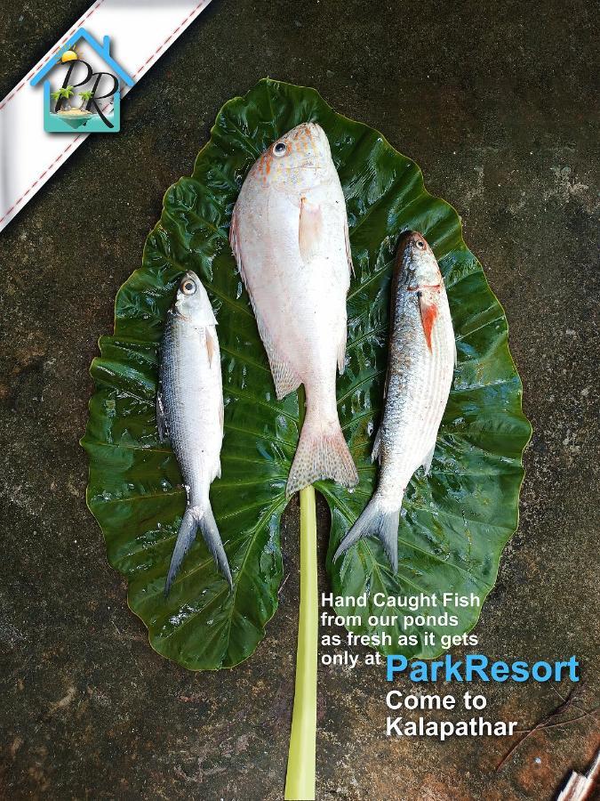Parkresort - Organic Farm Resort Kala Pathar Beach Dış mekan fotoğraf