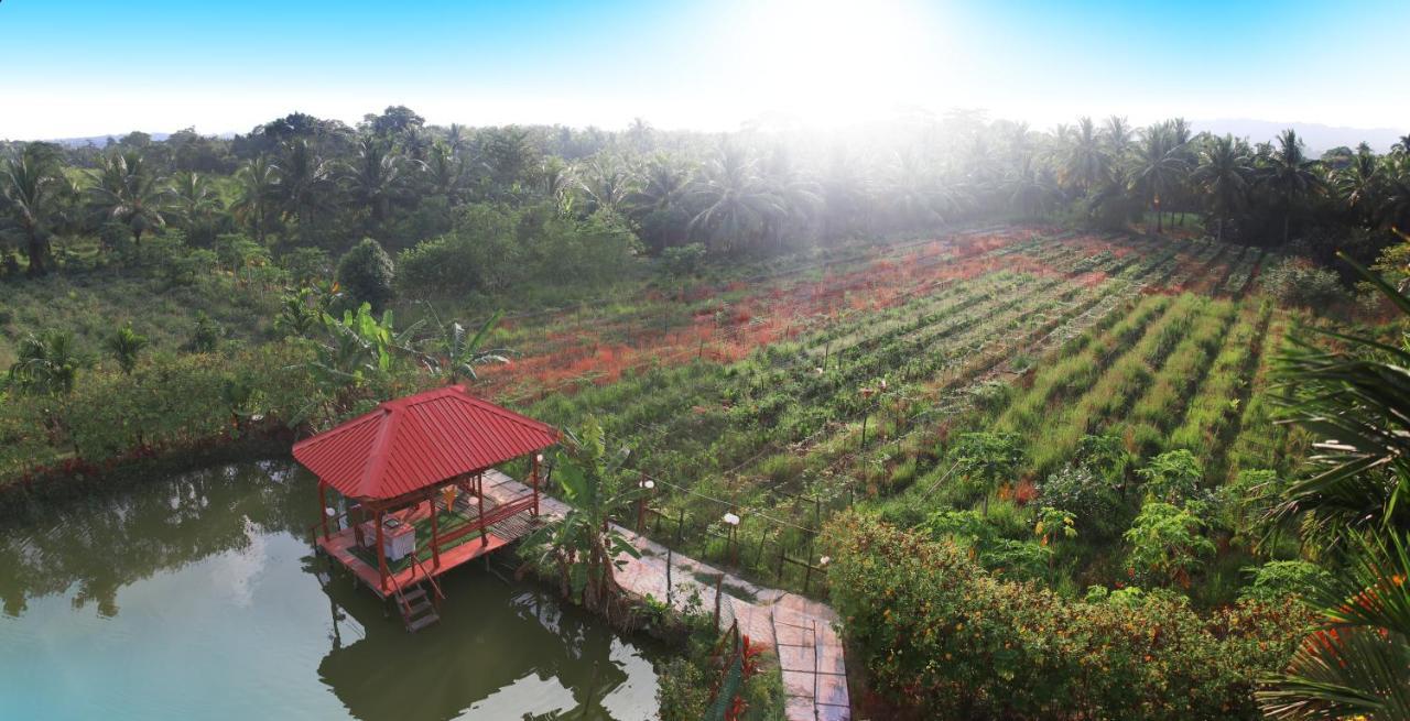 Parkresort - Organic Farm Resort Kala Pathar Beach Dış mekan fotoğraf